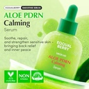 EQQUALBERRY - Aloe PDRN Calming Serum - 30ml
