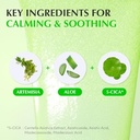 EQQUALBERRY - Aloe PDRN Calming Serum - 30ml